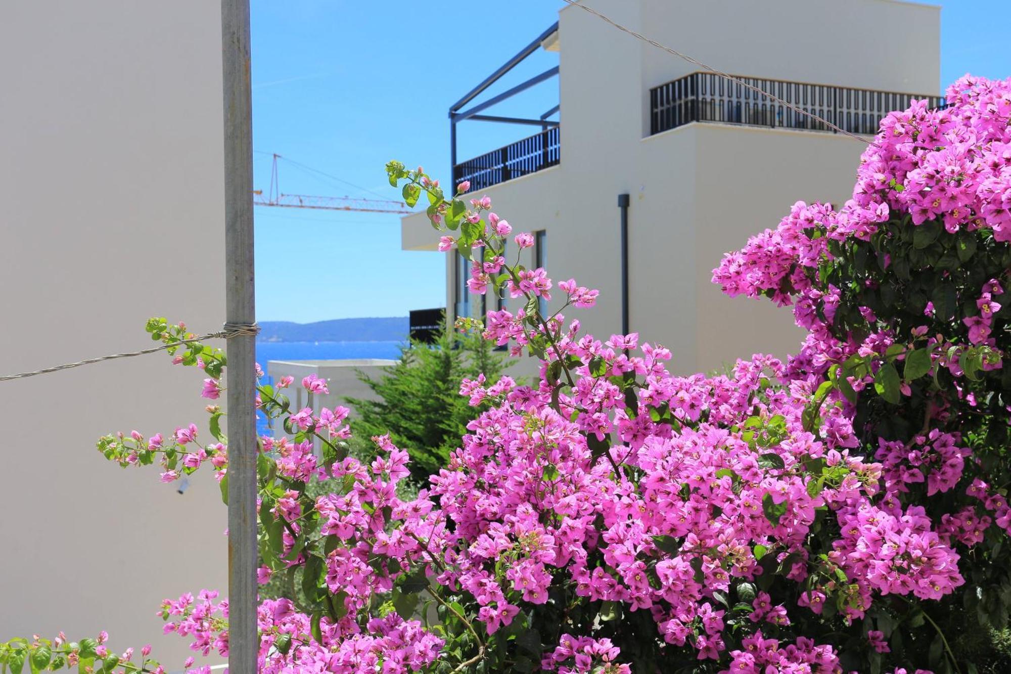 Family Friendly Apartments With A Swimming Pool Businci, Ciovo - 11232 Trogir Dış mekan fotoğraf